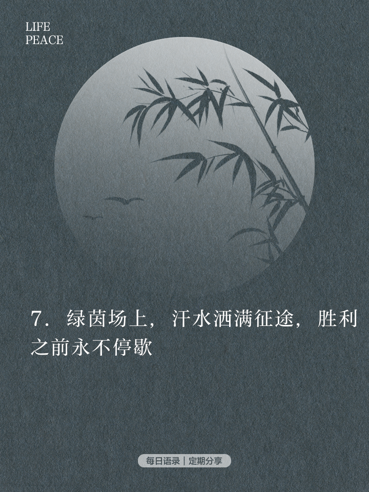 世俱杯2025-精彩瞬间回放，胜败皆是常态