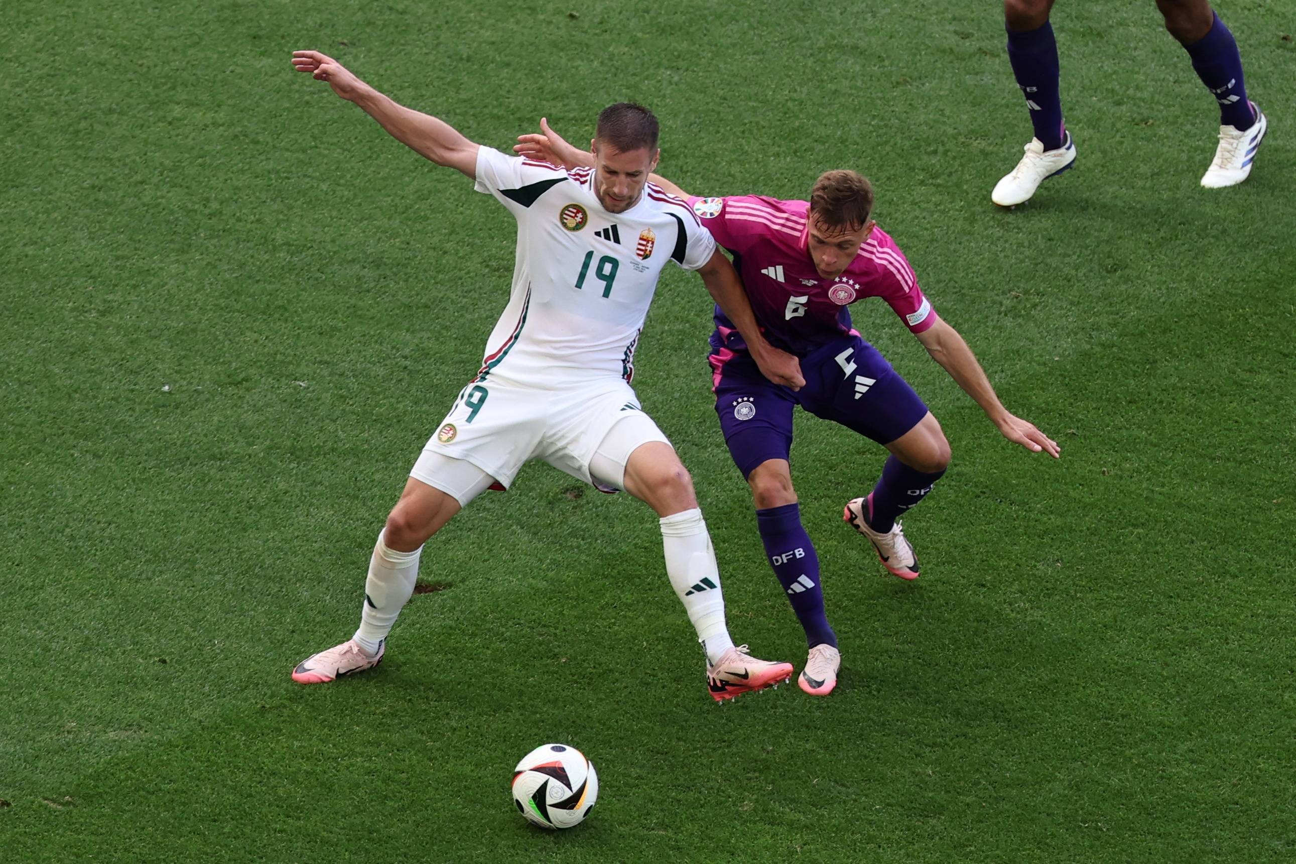 匈牙利队在欧锦赛资格赛中表现出色