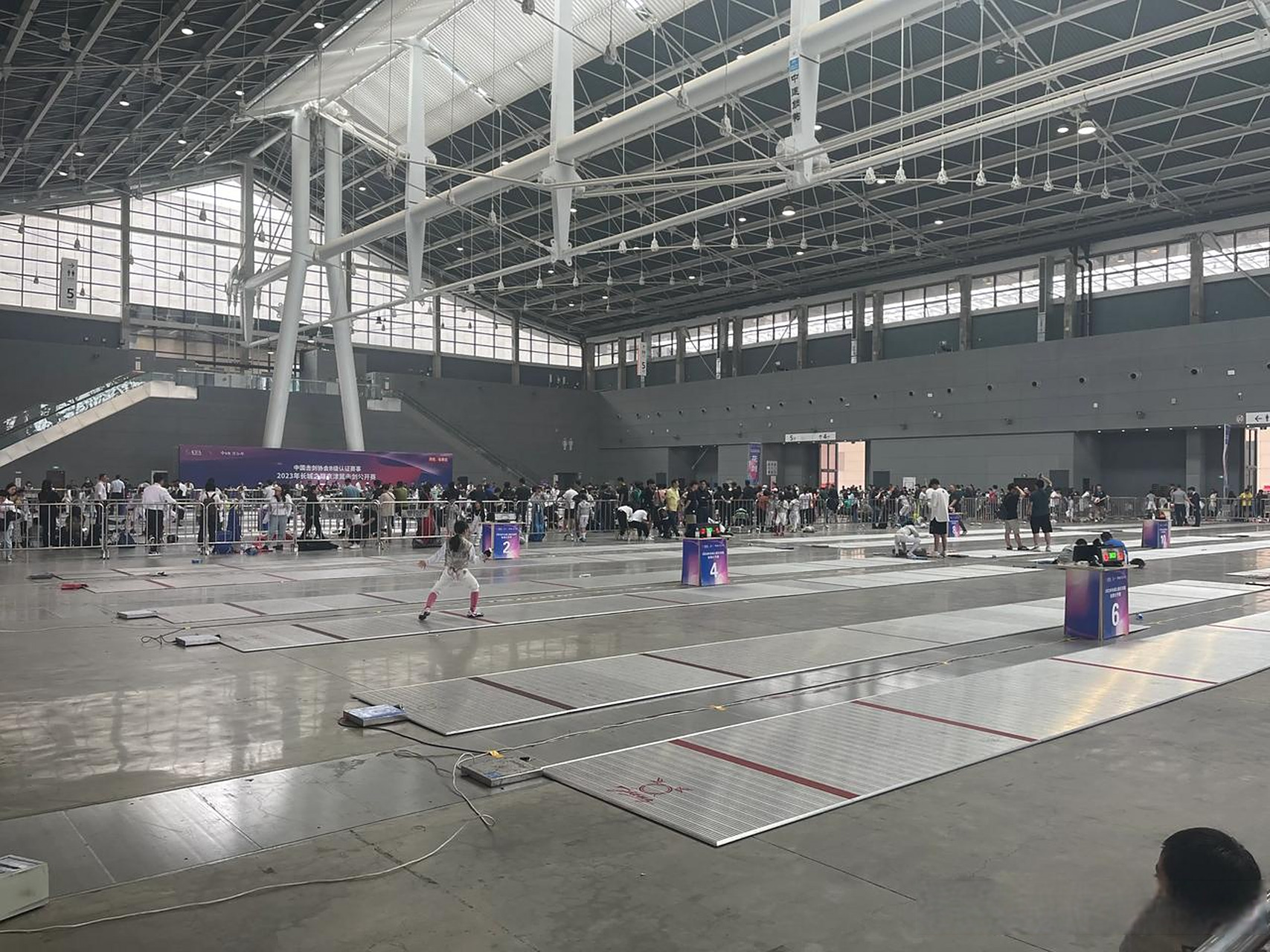 伊朗击剑选手力压强敌！实力不容小觑的简单介绍