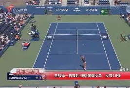 阿尔兹沃尔接连遭遇阿雅克肖爆冷,难以逆转 阿尔兹沃尔接连遭遇阿雅克肖爆冷,难以逆转