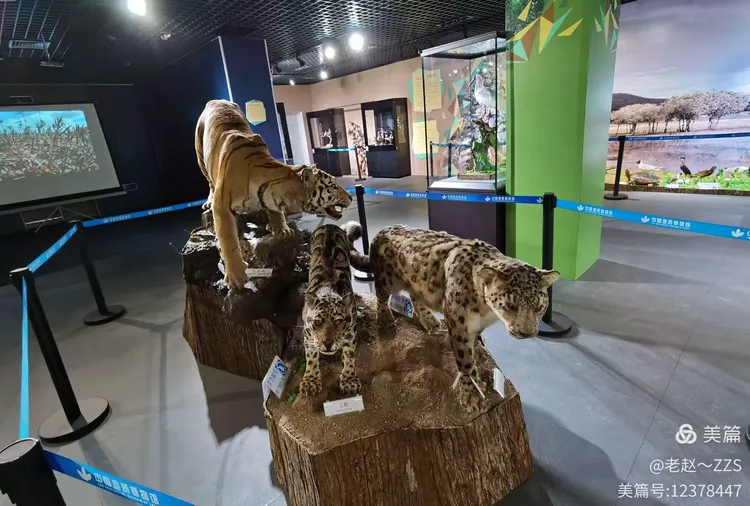 呼和浩特山羊群对决山西黄鼬队,实力对比明显 呼和浩特山羊群对决山西黄鼬队,实力对比明显