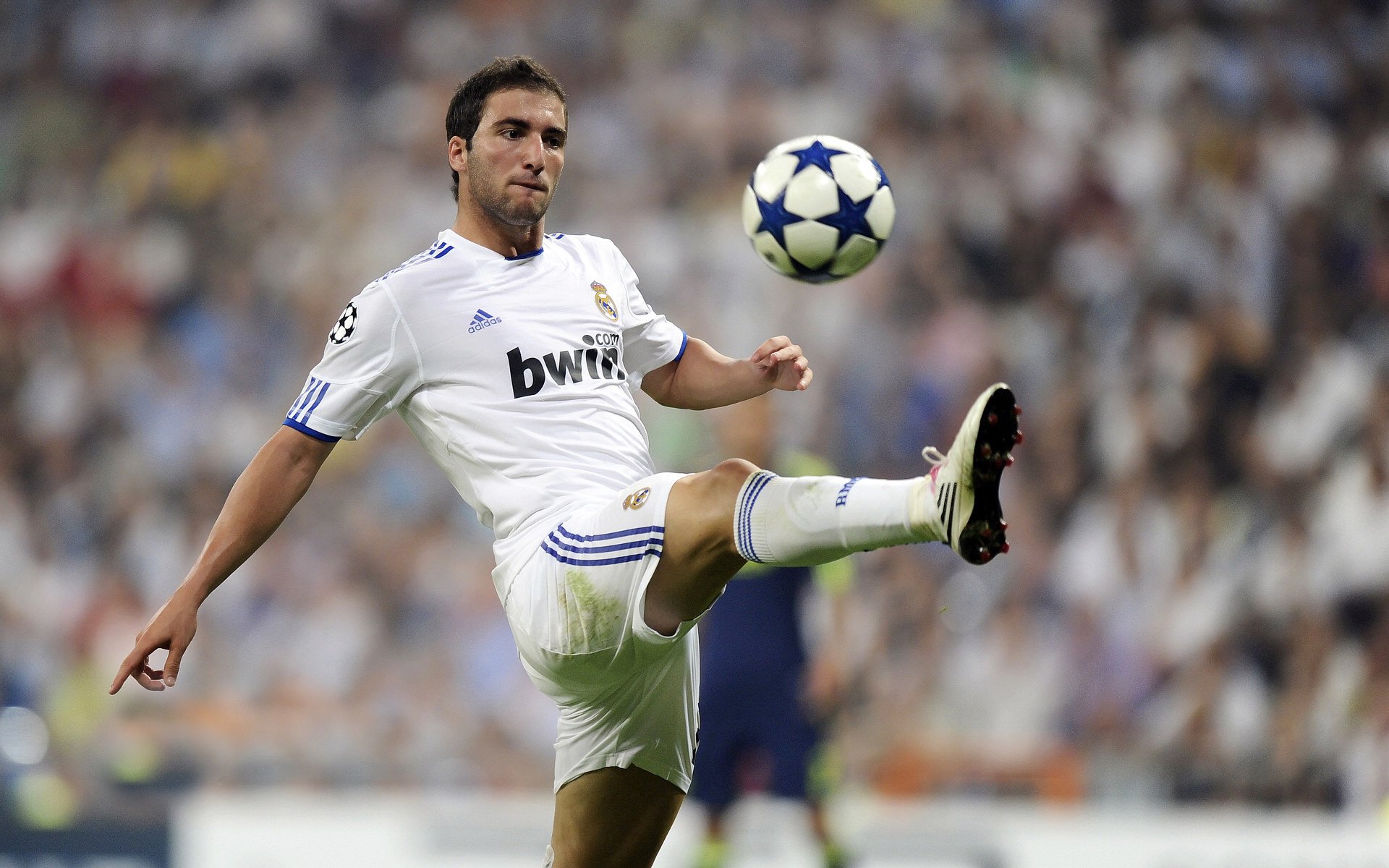 蛇吻时刻，当英格拉姆成为绞碎黄蜂的最后一段旋律